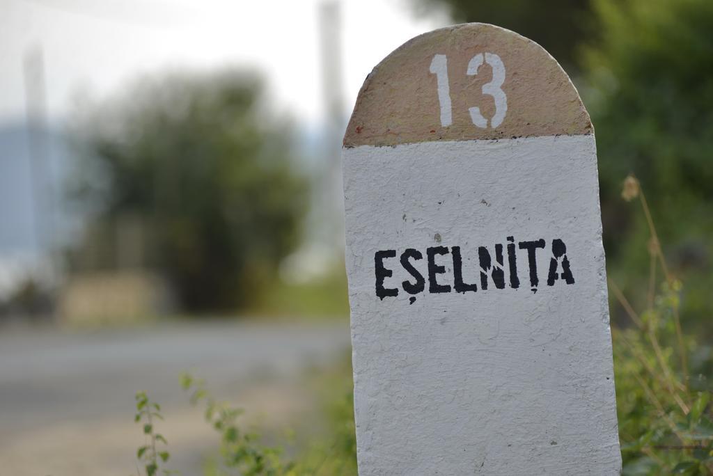 Hotel Casa Marina Ieşelniţa Esterno foto